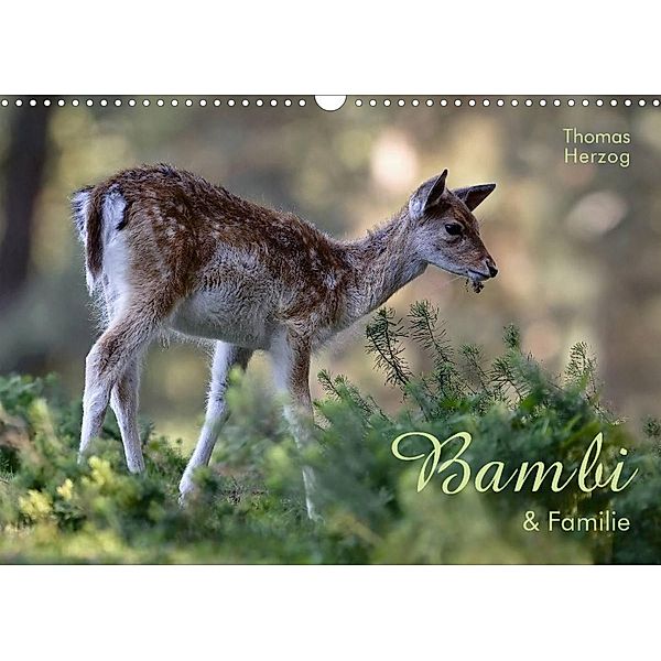 BAMBI & Familie (Wandkalender 2023 DIN A3 quer), Thomas Herzog, www.bild-erzaehler.com