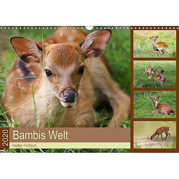 Bambis Welt (Wandkalender 2020 DIN A3 quer), Heike Hultsch