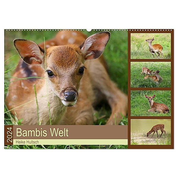 Bambis Welt (Wandkalender 2024 DIN A2 quer), CALVENDO Monatskalender, Heike Hultsch