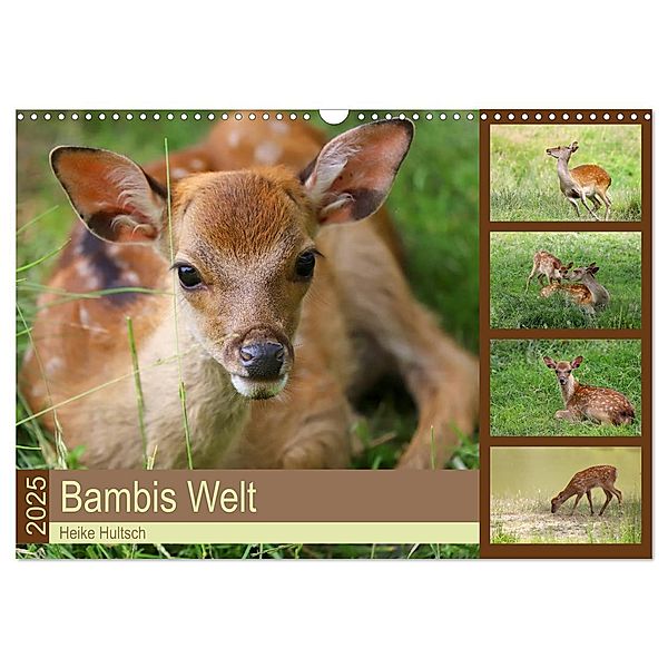 Bambis Welt (Wandkalender 2025 DIN A3 quer), CALVENDO Monatskalender, Calvendo, Heike Hultsch