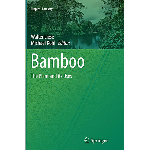 Bamboo