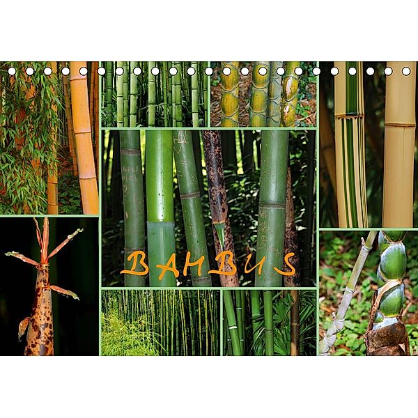 BAMBUS (Tischkalender 2021 DIN A5 quer), Gugigei