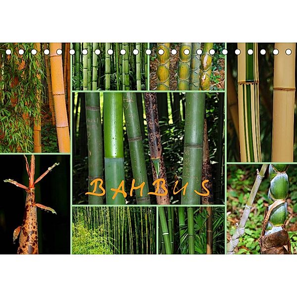 BAMBUS (Tischkalender 2023 DIN A5 quer), Gugigei