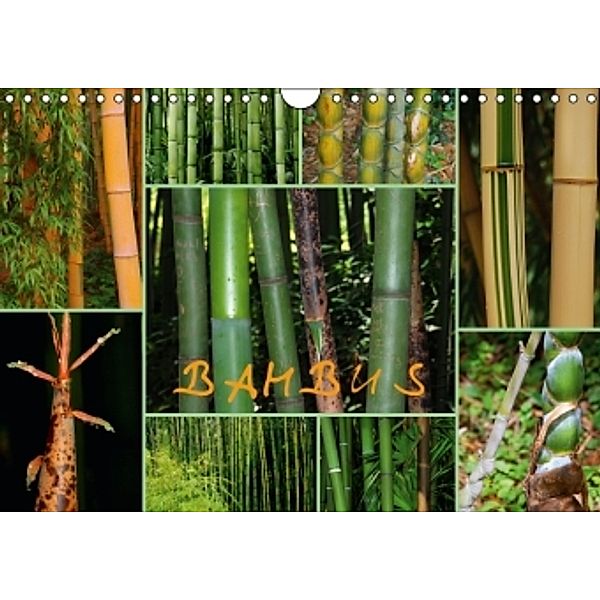BAMBUS (Wandkalender 2015 DIN A4 quer), GUGIGEI