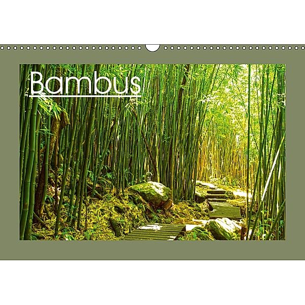 Bambus (Wandkalender 2018 DIN A3 quer), Sylvia Seibl