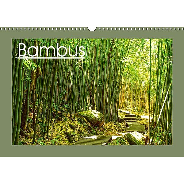 Bambus (Wandkalender 2021 DIN A3 quer), Sylvia Seibl