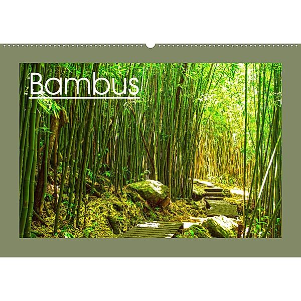 Bambus (Wandkalender 2023 DIN A2 quer), Sylvia Seibl