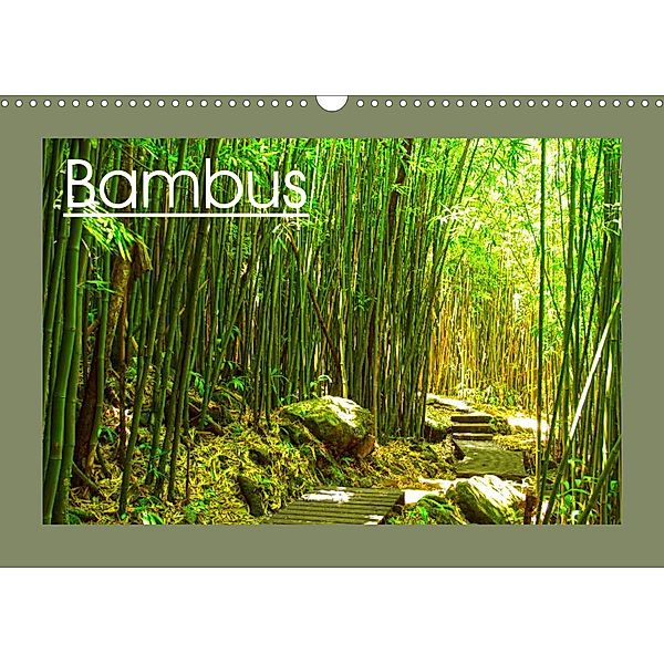 Bambus (Wandkalender 2023 DIN A3 quer), Sylvia Seibl