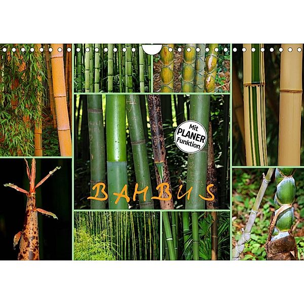 BAMBUS (Wandkalender 2023 DIN A4 quer), Gugigei