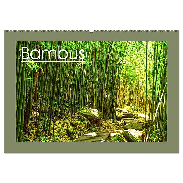 Bambus (Wandkalender 2024 DIN A2 quer), CALVENDO Monatskalender, Sylvia Seibl
