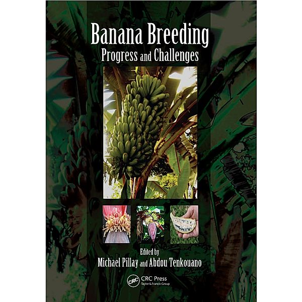 Banana Breeding