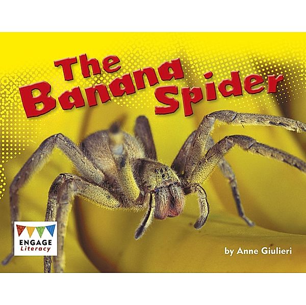 Banana Spider / Raintree Publishers, Anne Giulieri