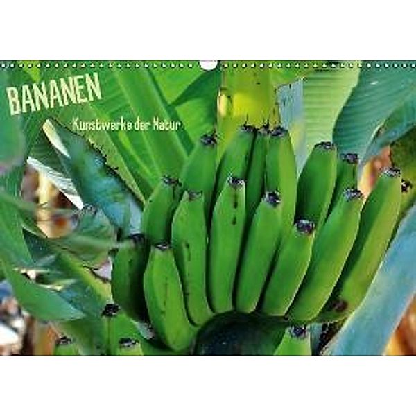 Bananen (Wandkalender 2016 DIN A3 quer), Andrea Ganz