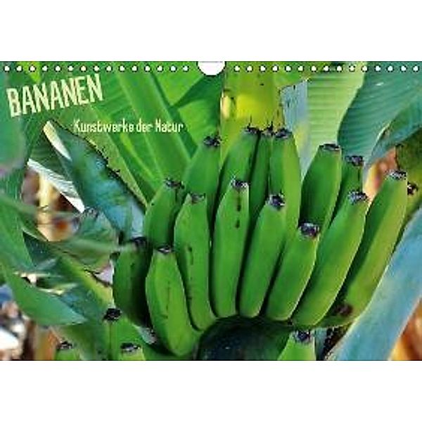 Bananen (Wandkalender 2016 DIN A4 quer), Andrea Ganz
