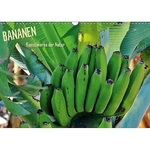 Bananen (Wandkalender 2017 DIN A3 quer), Andrea Ganz
