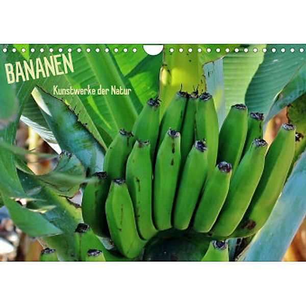 Bananen (Wandkalender 2022 DIN A4 quer), Andrea Ganz