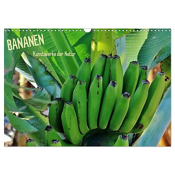 Bananen (Wandkalender 2024 DIN A3 quer), CALVENDO Monatskalender, Andrea Ganz