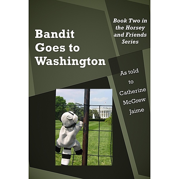 Bandit Goes to Washington / Catherine McGrew Jaime, Catherine Mcgrew Jaime