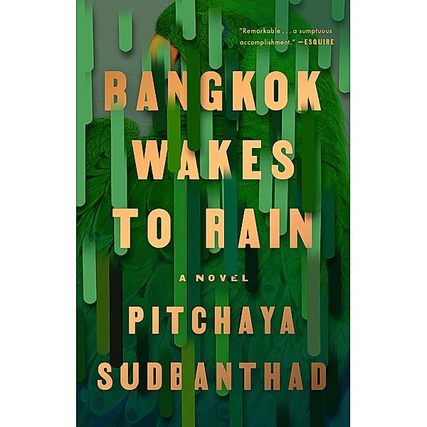 Bangkok Wakes to Rain, Pitchaya Sudbanthad