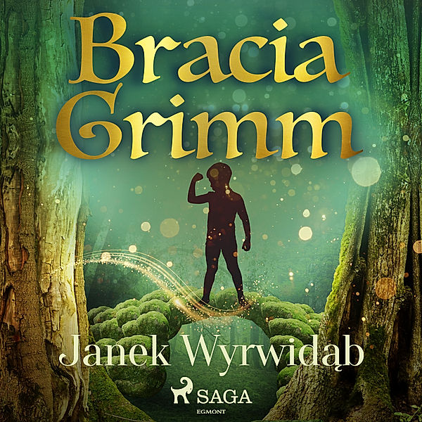 Baśnie Braci Grimm - Janek Wyrwidąb, Bracia Grimm