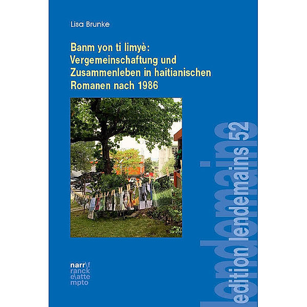 Banm yon ti limyè: Vergemeinschaftung und Zusammenleben in haitianischen Romanen nach 1986, Lisa Brunke