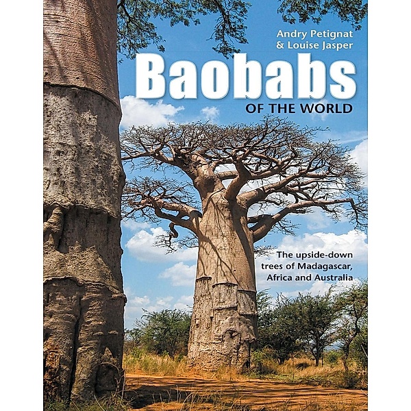 Baobabs of the World, Andry Petignat
