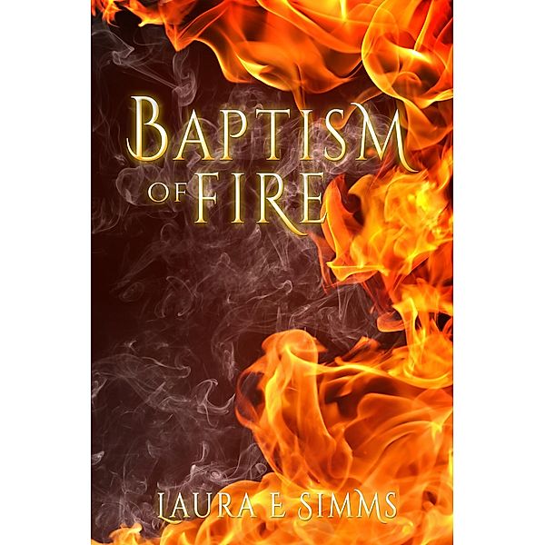 Baptism of Fire (DI Joseph Hunter Saga, #2) / DI Joseph Hunter Saga, Laura E Simms