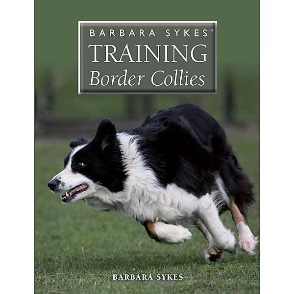 Barbara Sykes' Training Border Collies, Barbara Sykes