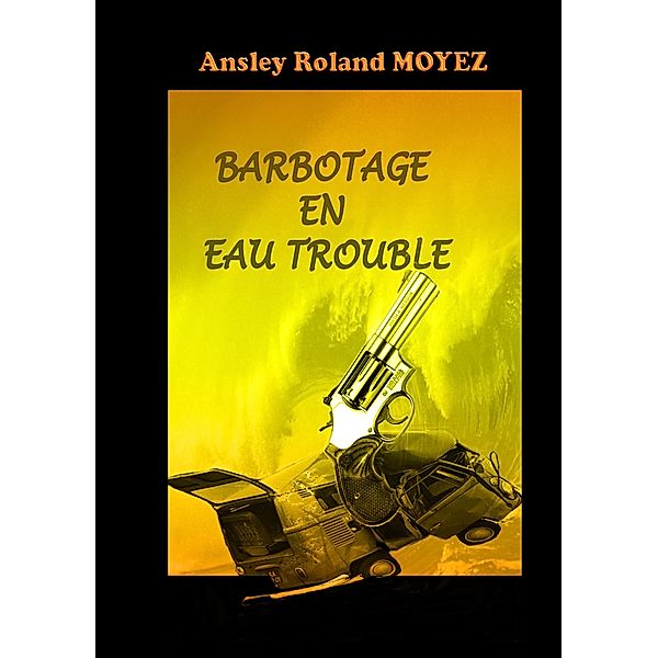 Barbotage en eau trouble, Ansley Roland Moyez