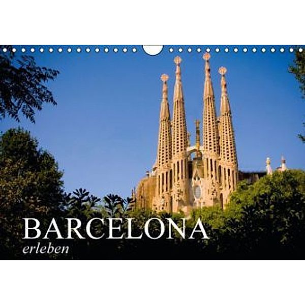 Barcelona erleben (Wandkalender 2015 DIN A4 quer), CALVENDO