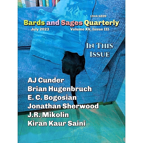 Bards and Sages Quarterly (July 2023), Julie Ann Dawson, Aj Cunder, J. R. Mikolin, Kiran Kaur Saini, Jonathan Sherwood, E. C. Bogosian, Brian Hugenbruch