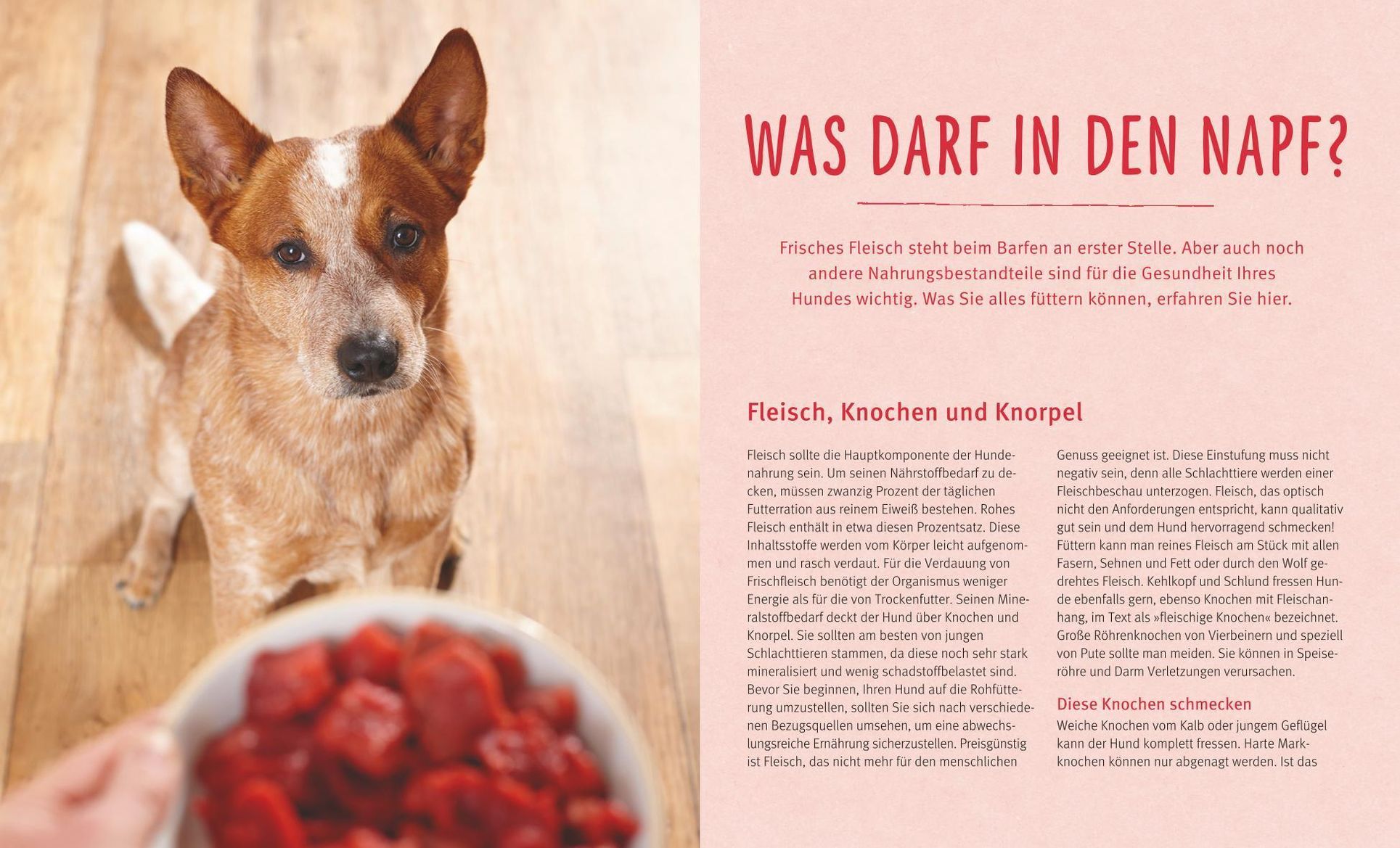 BARF für Hunde Buch jetzt versandkostenfrei bei Weltbild.de bestellen