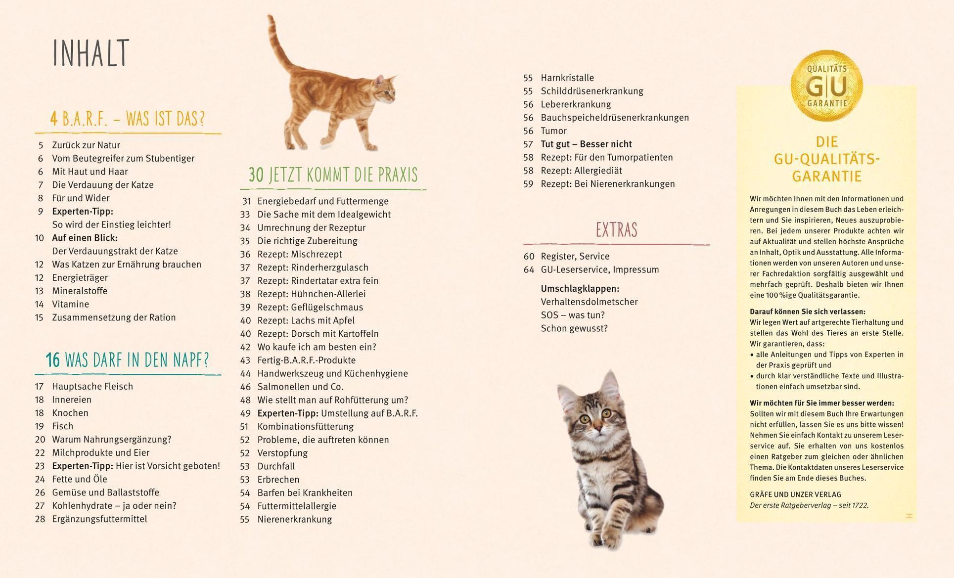 BARF für Katzen Buch von Natalie Dillitzer versandkostenfrei - Weltbild.de