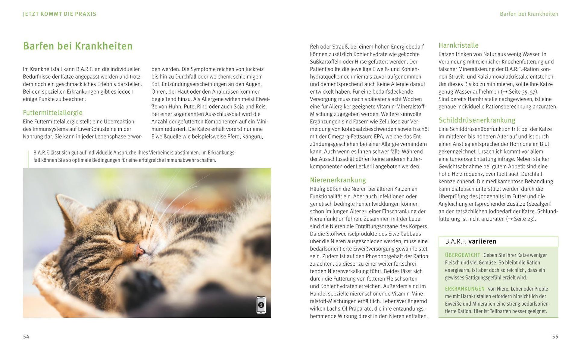 BARF für Katzen Buch jetzt bei Weltbild.ch online bestellen