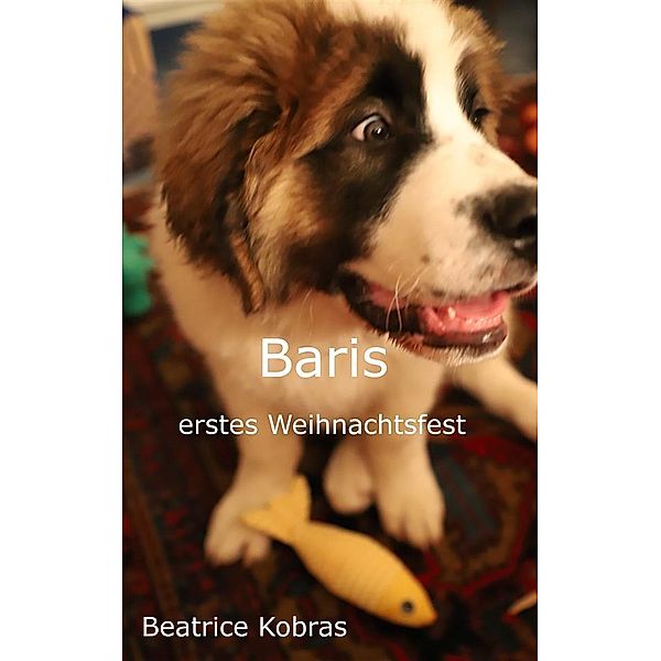 Baris erstes Weihnachtsfest / Baris Bd.5, Beatrice Kobras