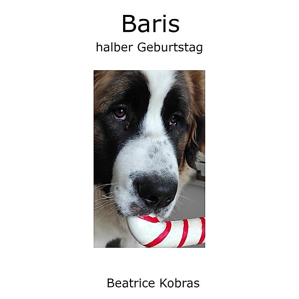 Baris halber Geburtstag / Baris Bd.7, Beatrice Kobras