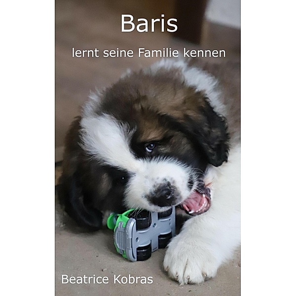 Baris - lernt seine Familie kennen, Beatrice Kobras