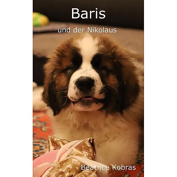Baris und der Nikolaus / Baris Bd.3, Beatrice Kobras