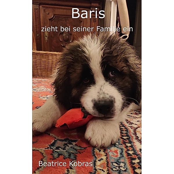 Baris zieht bei seiner Familie ein / Baris Bd.2, Beatrice Kobras