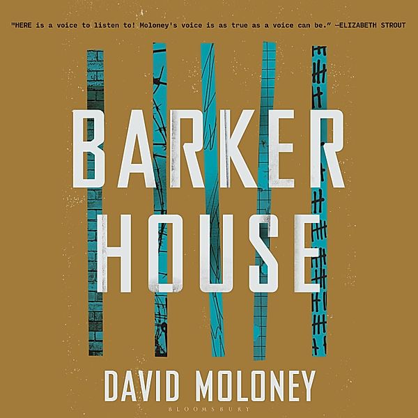 Barker House, David Moloney