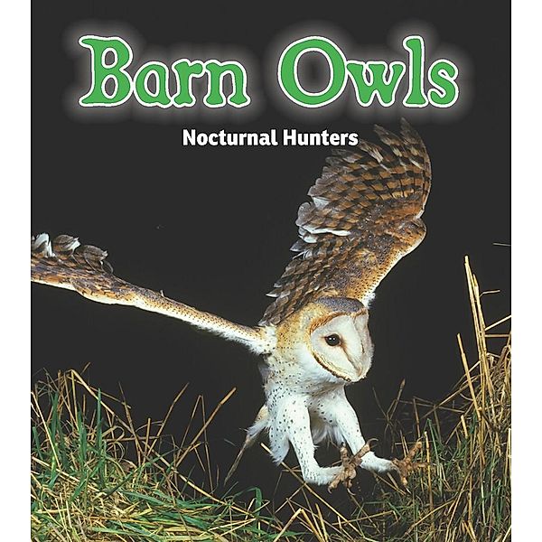 Barn Owls / Raintree Publishers, Rebecca Rissman