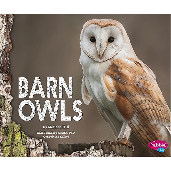 Barn Owls / Raintree Publishers, Melissa Hill