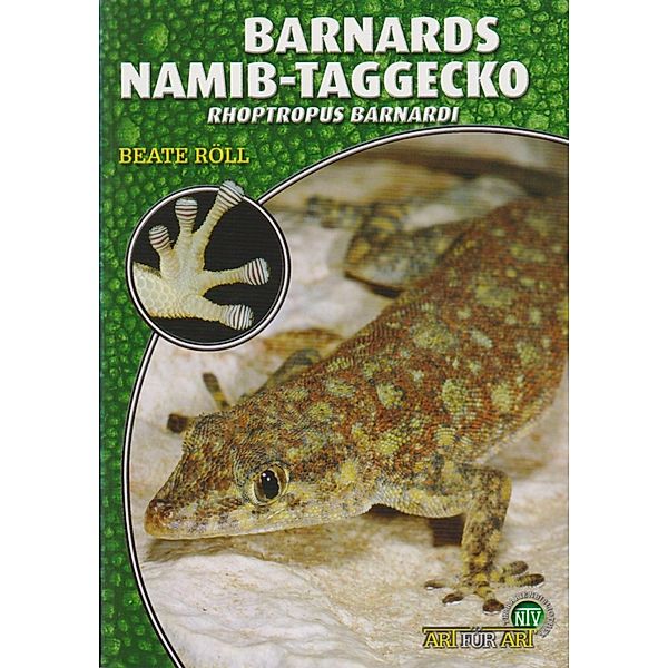 Barnards Namib-Taggecko / Art für Art, Beate Röll