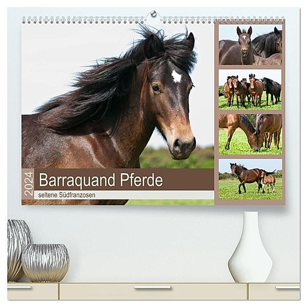 Barraquand Pferde - seltene Südfranzosen (hochwertiger Premium Wandkalender 2024 DIN A2 quer), Kunstdruck in Hochglanz, Meike Bölts