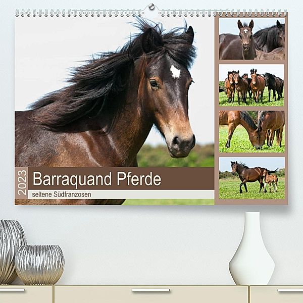 Barraquand Pferde - seltene Südfranzosen (Premium, hochwertiger DIN A2 Wandkalender 2023, Kunstdruck in Hochglanz), Meike Bölts