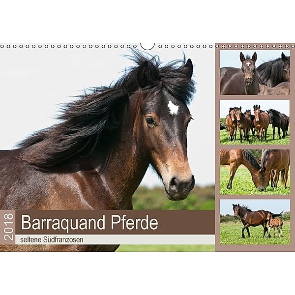 Barraquand Pferde - seltene Südfranzosen (Wandkalender 2018 DIN A3 quer) Dieser erfolgreiche Kalender wurde dieses Jahr, Meike Bölts