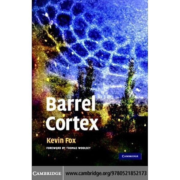 Barrel Cortex, Kevin Fox