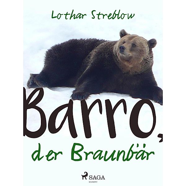 Barro, der Braunbär / Tiere in ihrem Lebensraum Bd.7, Lothar Streblow