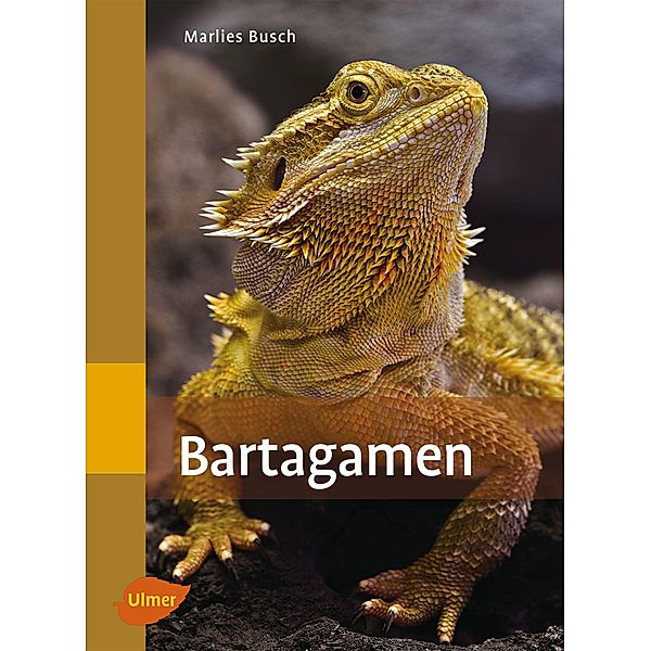 Bartagamen, Marlies Busch