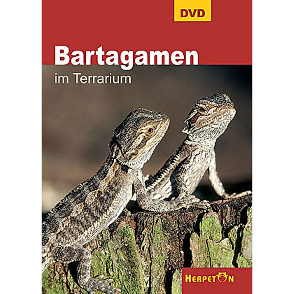 Bartagamen im Terrarium, 1 DVD
